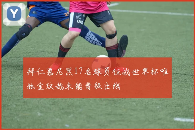 拜仁慕尼黑17名球员征战世界杯唯独金玟哉未能晋级出线